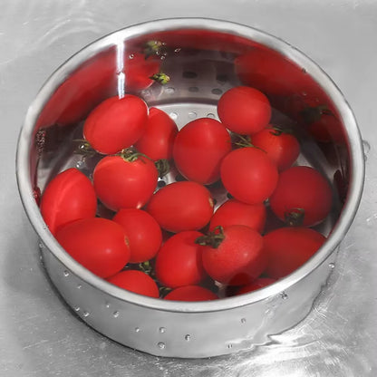 Stainless Steel Kitchen Swan Sink Strainer